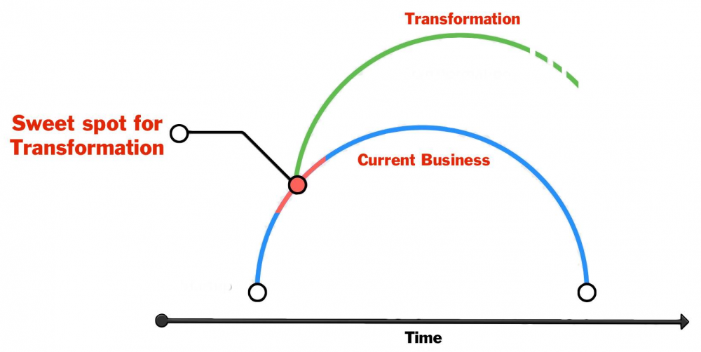 Why Tim Cook is Steve Ballmer and Why He Still Has His Job at Apple